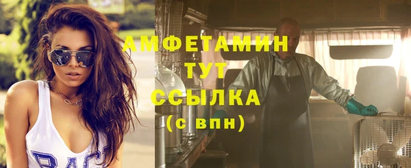 сатива Каменск-Шахтинский