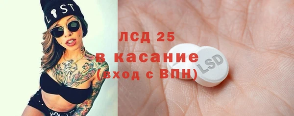 сатива Каменногорск