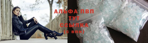 сатива Каменногорск