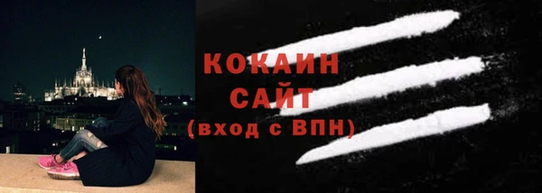 сатива Каменск-Шахтинский