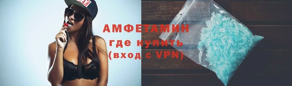 сатива Каменногорск