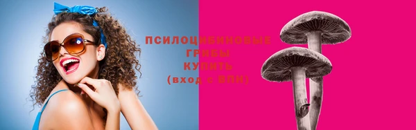 сатива Каменногорск
