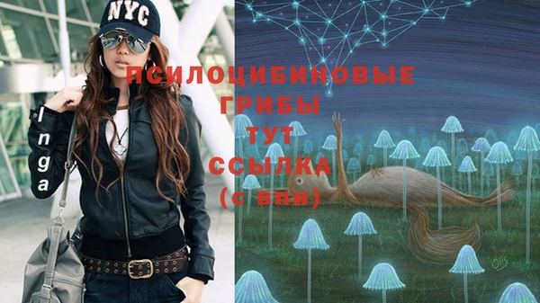 ALPHA PVP Инсар