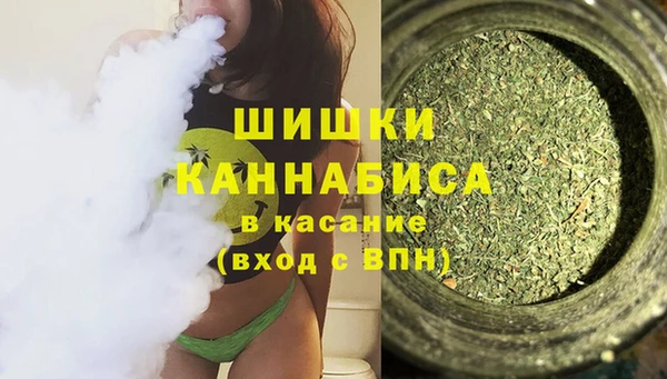 сатива Каменногорск