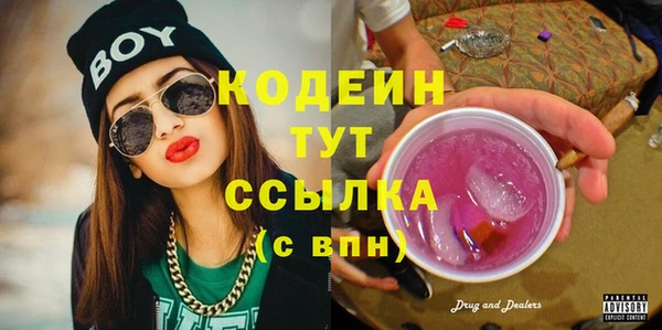 сатива Каменногорск