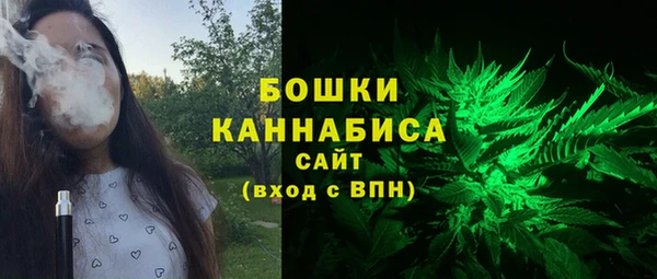 сатива Каменногорск