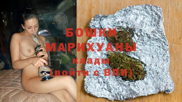сатива Каменск-Шахтинский