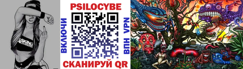 закладка  Старая Купавна  Галлюциногенные грибы MAGIC MUSHROOMS 